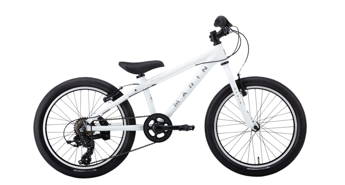 DONKY JR 20" 2021|Marin|Cycle LM (6563634282653)