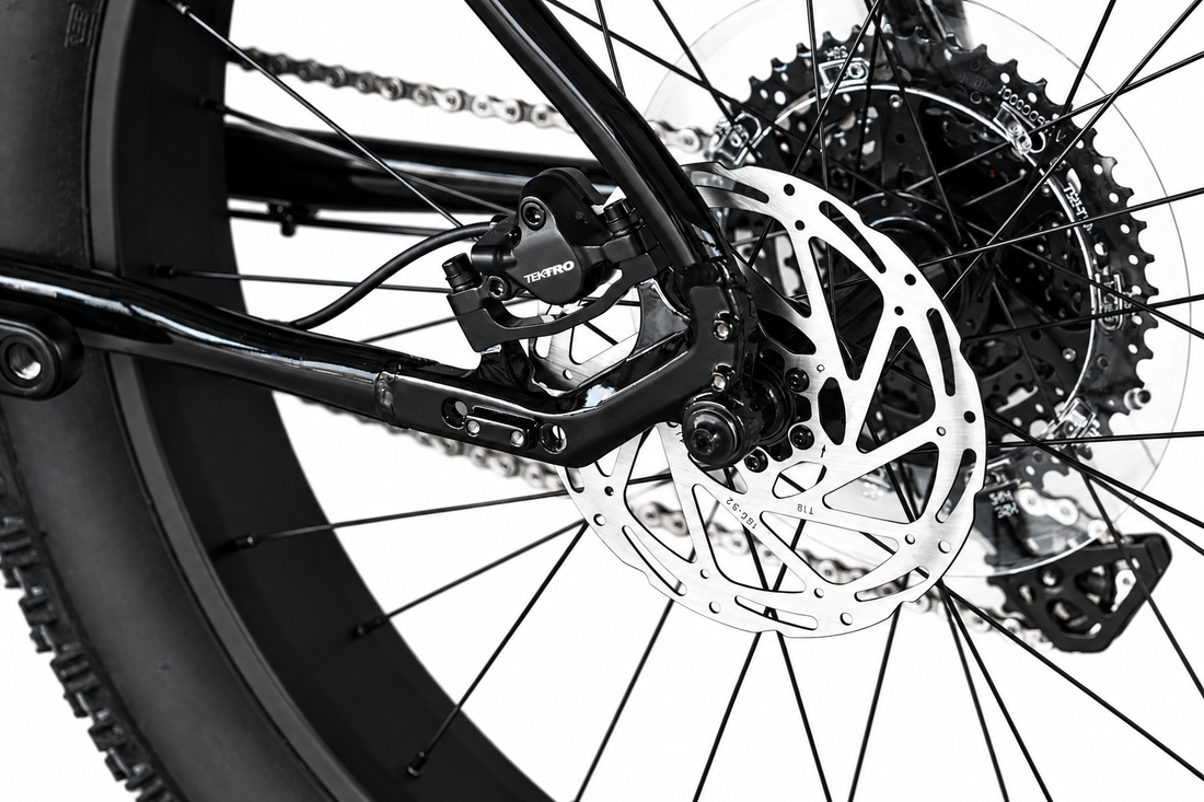 Fat bike 1