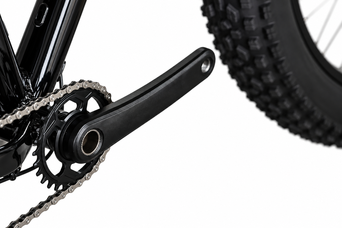 Fat bike 1