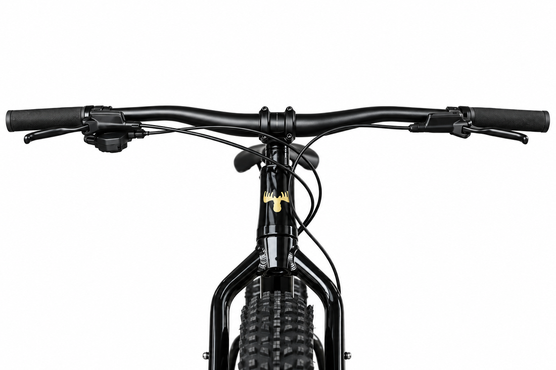 Fat bike 1