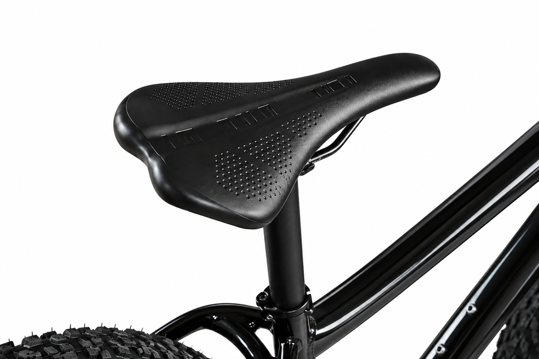 Fat bike 1