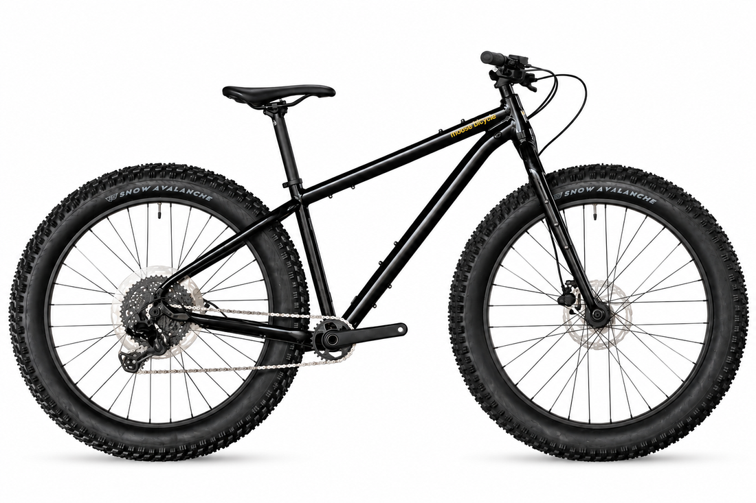 Fat bike 1