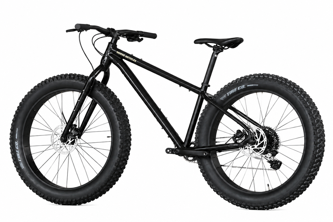 Fat bike 1