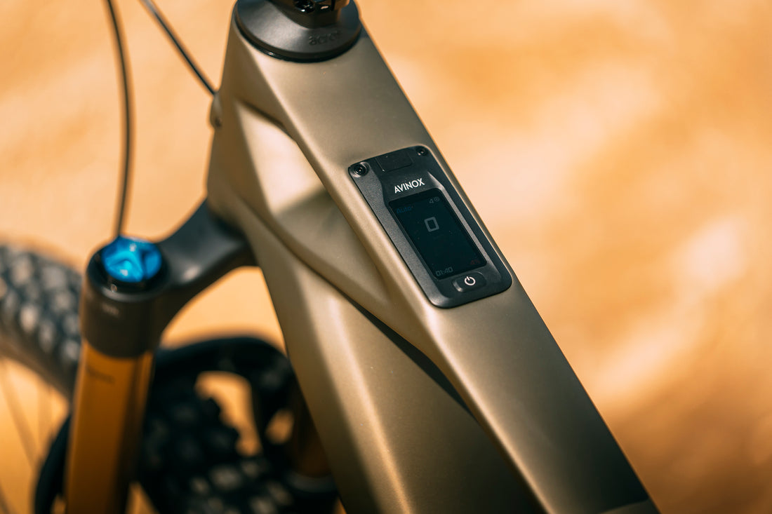 Mondraker Zendit RR 2026