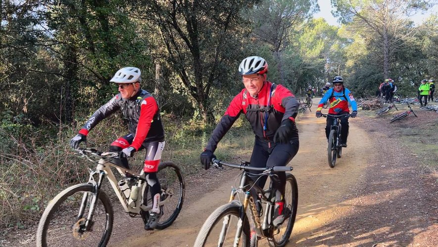 bonheur PUB - Cycle LM